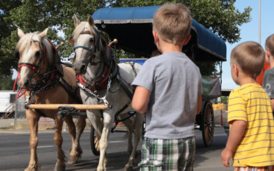 Horse and Carriage Rids clip through downtown starting June 1