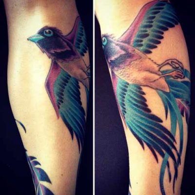 Bird's Eye Tattoo