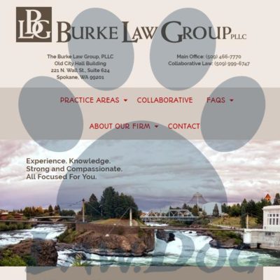 Burke Law Group PLLC