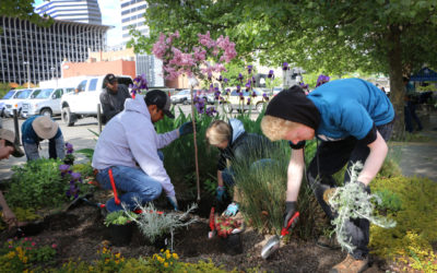 Downtown Spokane and Spokane Community Colleges Partner to Beautify Downtown