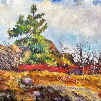 The Liberty Gallery Features the Landscape Paintings of NW Artist LR Montgomery in Nov!
