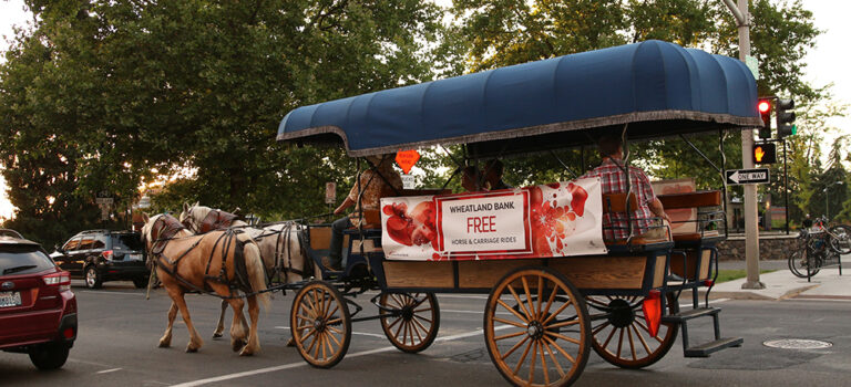 Wheatland Bank Free Horse and Carriage Rides