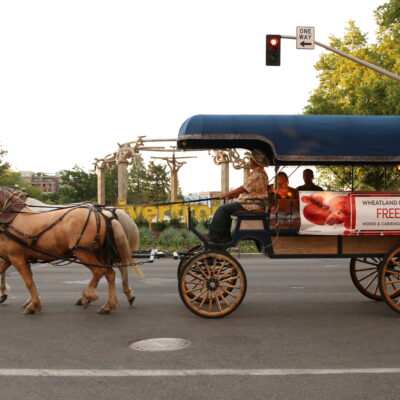 Wheatland Bank Free Horse & Carriage Rides