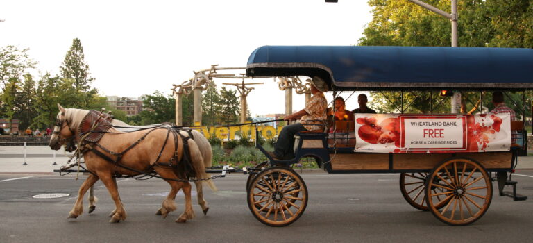 Wheatland Bank Free Horse & Carriage Rides