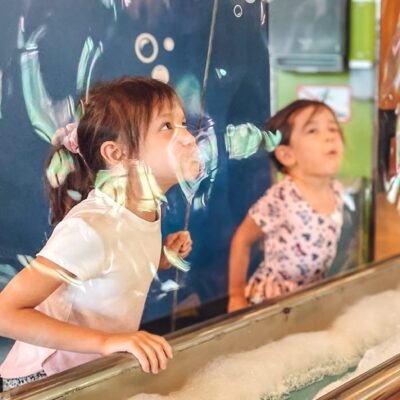 Summer with a Purpose: Mobius Discovery Center