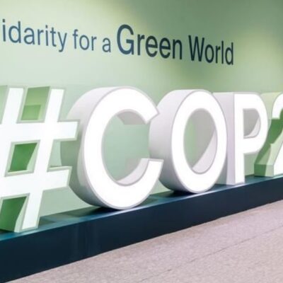 Baku at the Heart of Climate Action: Insights from COP29