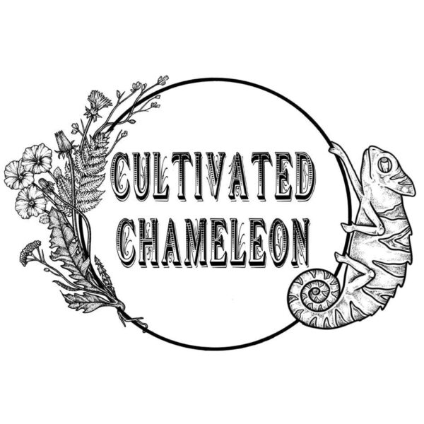 Cultivated Chamelon