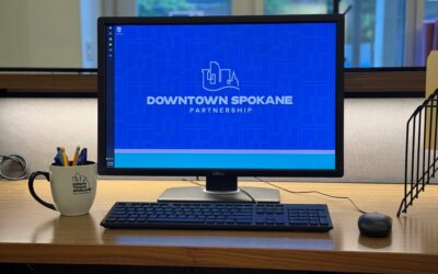 DSP Seeking Proposals for Website Redevelopment