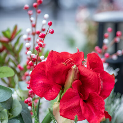 Holiday Display Contest